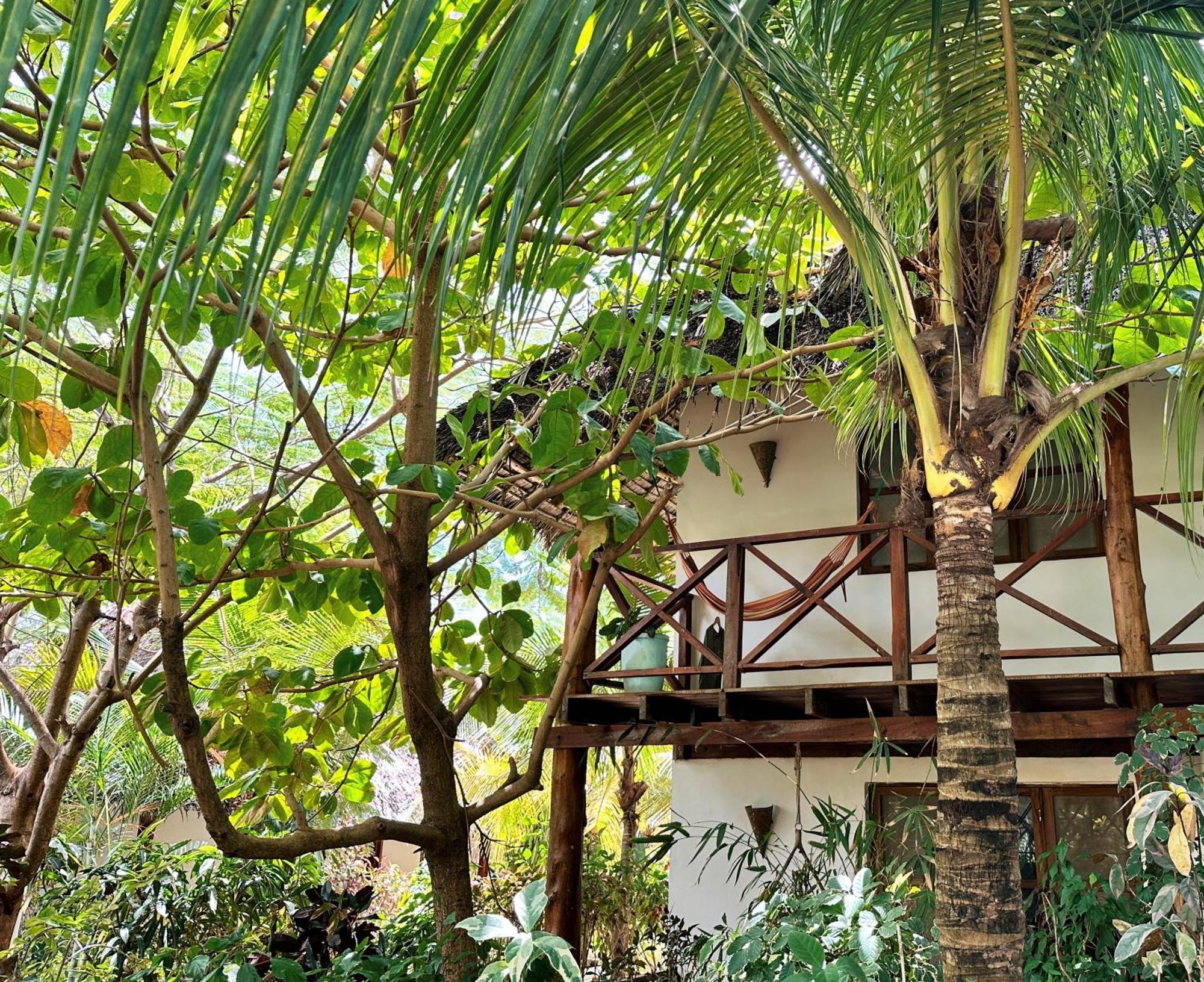 Maisha Nungwi - Boutique Hotel Ngoại thất bức ảnh